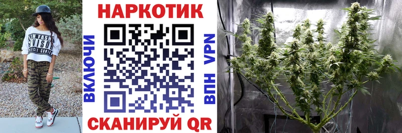 Наркотические вещества Ковылкино Амфетамин  Меф мяу мяу  Cocaine  ГАШИШ  omg ТОР  Конопля  Бутират 