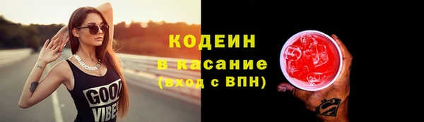 прущий лед Богданович