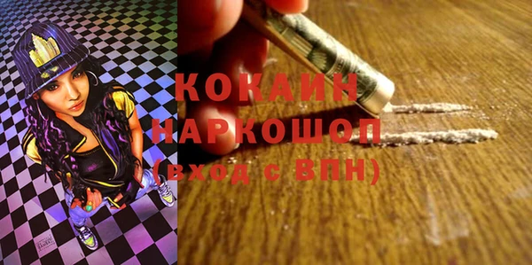 прущие грибы Белокуриха