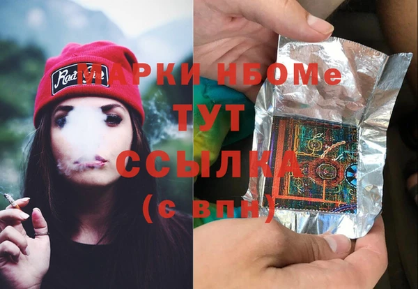 прущий лед Богданович