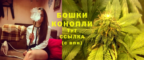 прущие грибы Белокуриха