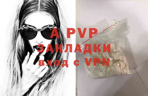 прущий лед Богданович